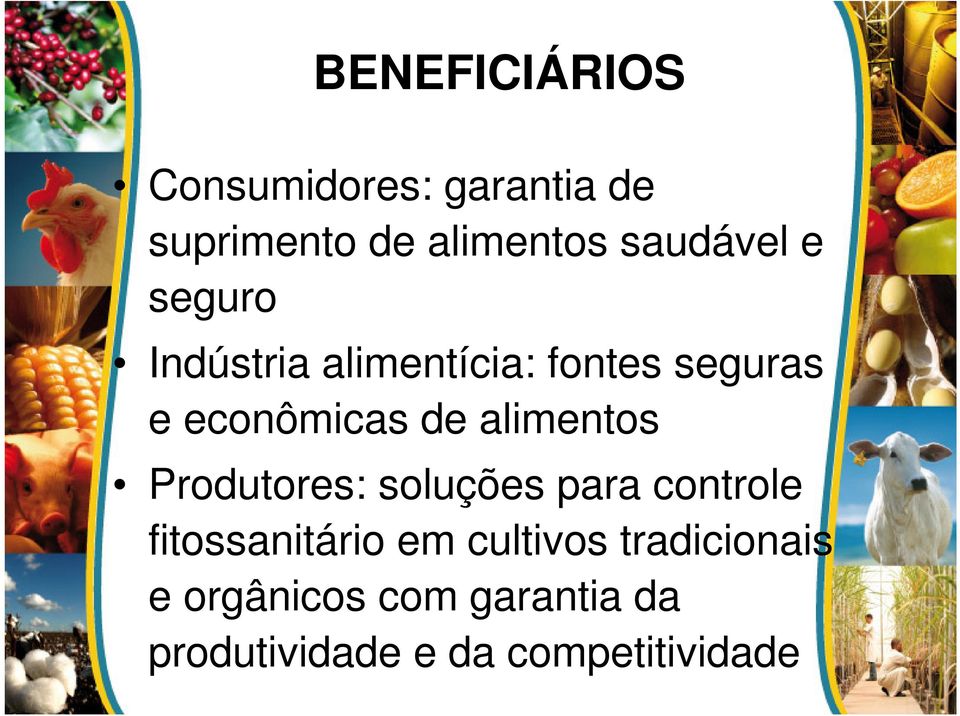 de alimentos Produtores: soluções para controle fitossanitário em