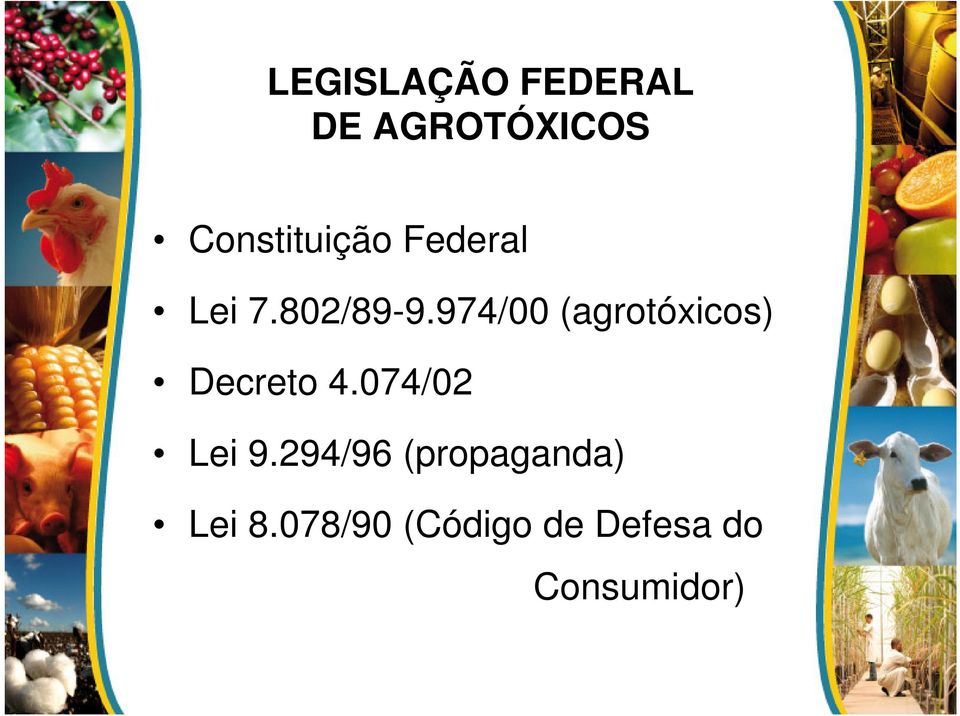 974/00 (agrotóxicos) Decreto 4.074/02 Lei 9.