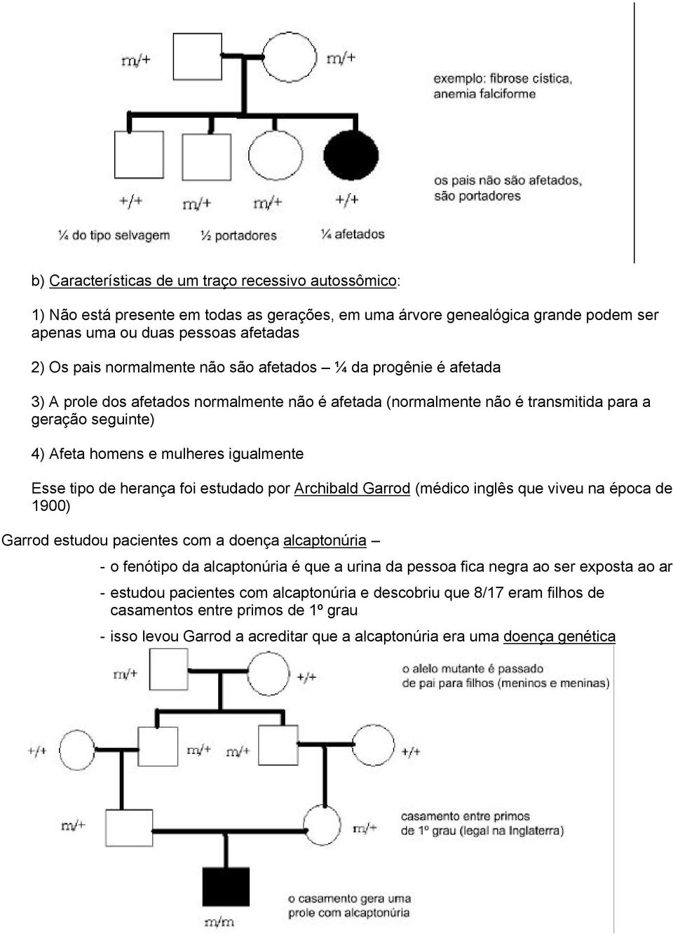 herança foi estudado por Archibald Garrod (médico inglês que viveu na época de 1900) Garrod estudou pacientes com a doença alcaptonúria - o fenótipo da alcaptonúria é que a urina da pessoa fica negra