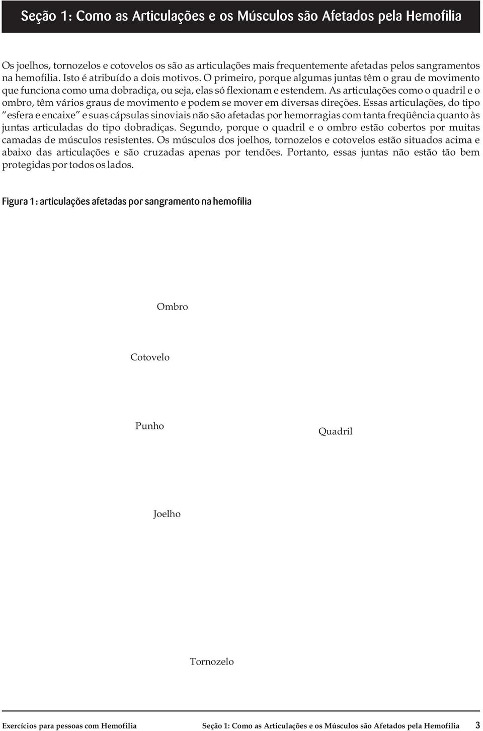 As articulações como o quadril e o ombro, têm vários graus de movimento e podem se mover em diversas direções.