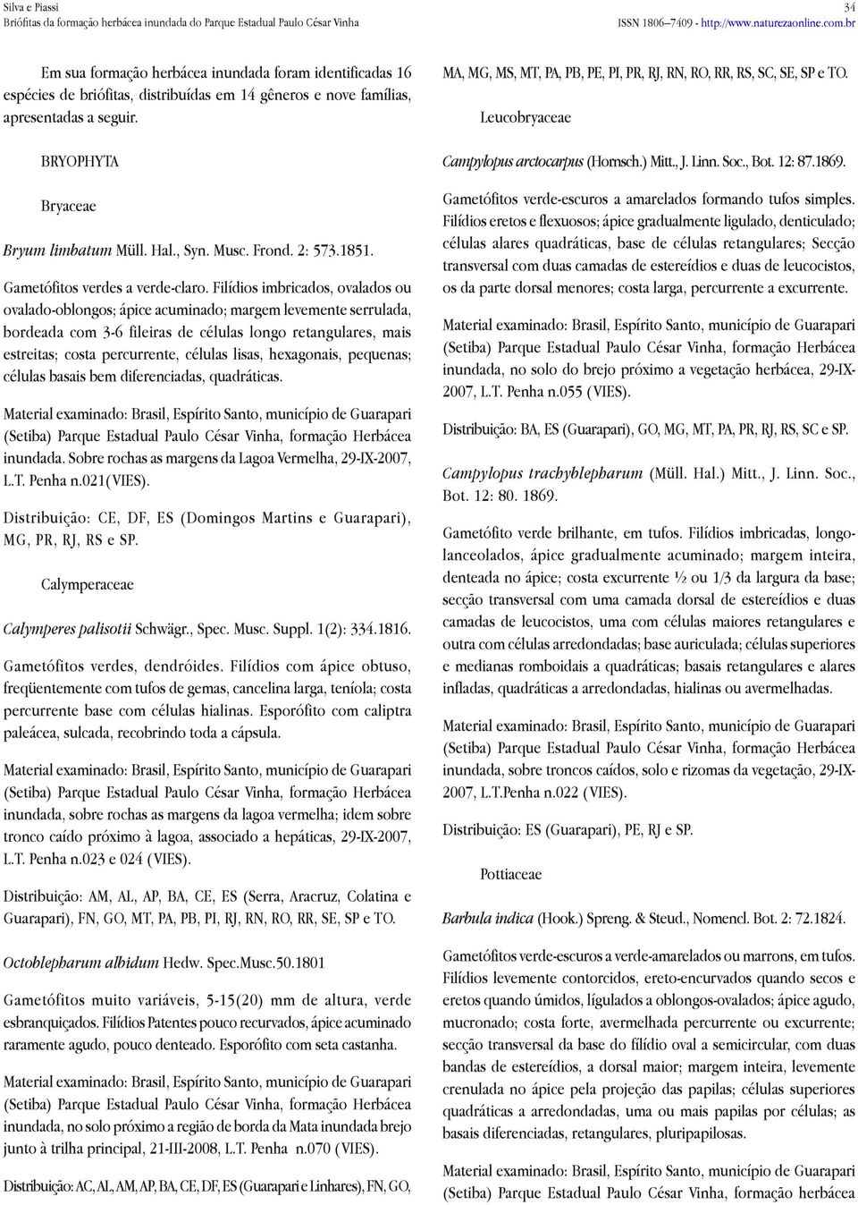 Filídios imbricados, ovalados ou ovalado-oblongos; ápice acuminado; margem levemente serrulada, bordeada com 3-6 fileiras de células longo retangulares, mais estreitas; costa percurrente, células