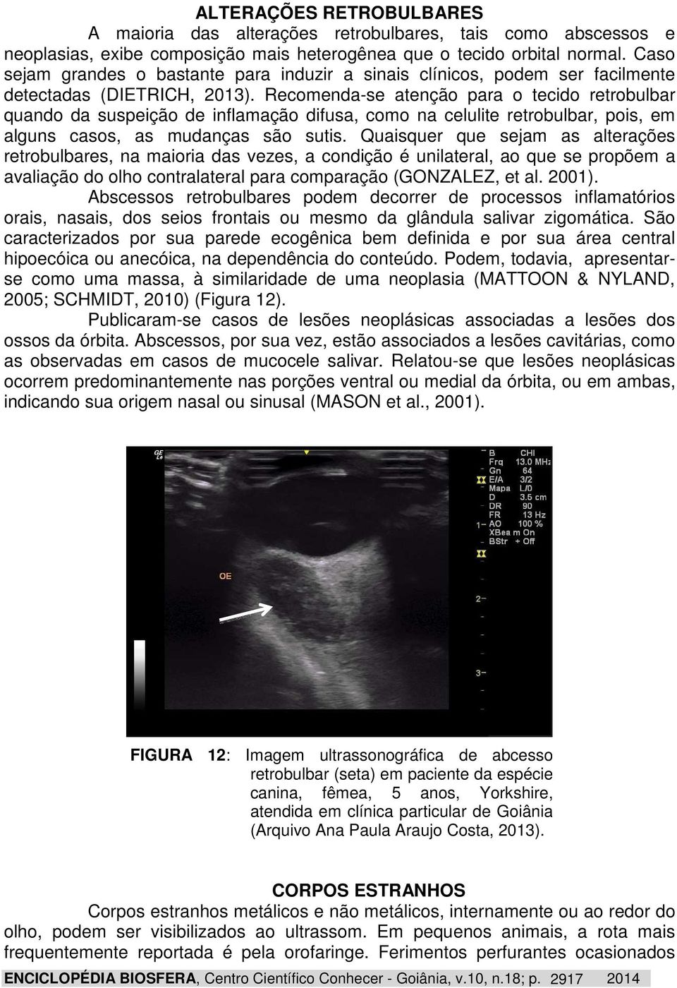 Recomenda-se atenção para o tecido retrobulbar quando da suspeição de inflamação difusa, como na celulite retrobulbar, pois, em alguns casos, as mudanças são sutis.