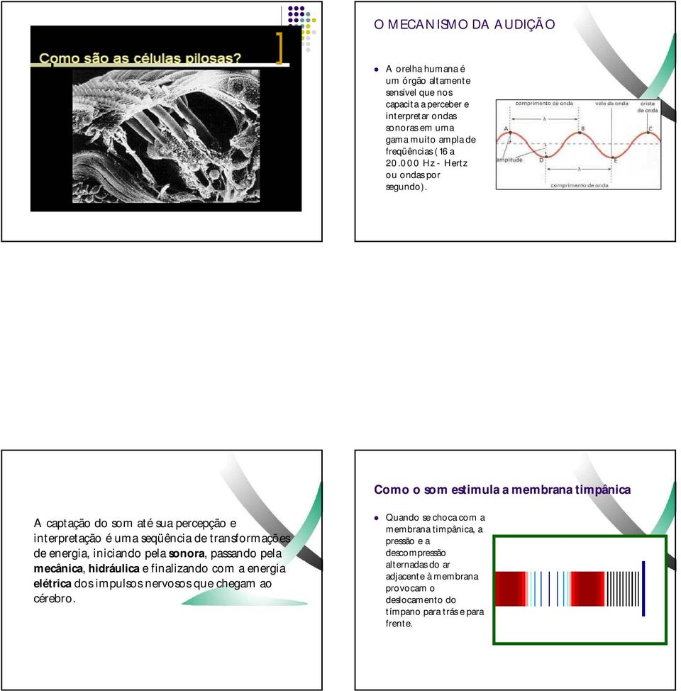 Como o som estimula a membrana timpânica A captação do som até sua percepção e interpretação é uma seqüência de transformações de energia, iniciando pela sonora,