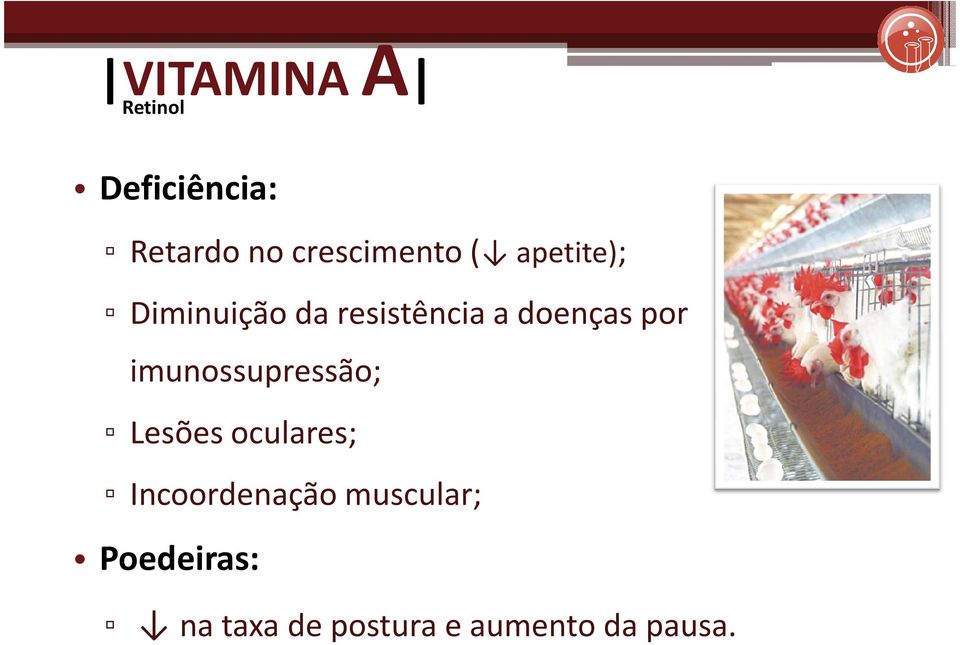 doenças por imunossupressão; Lesões oculares;