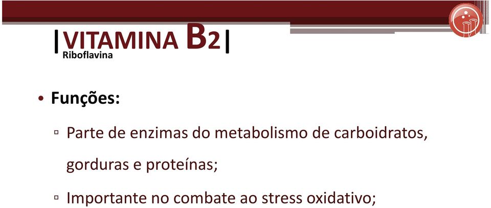 carboidratos, gorduras e proteínas;