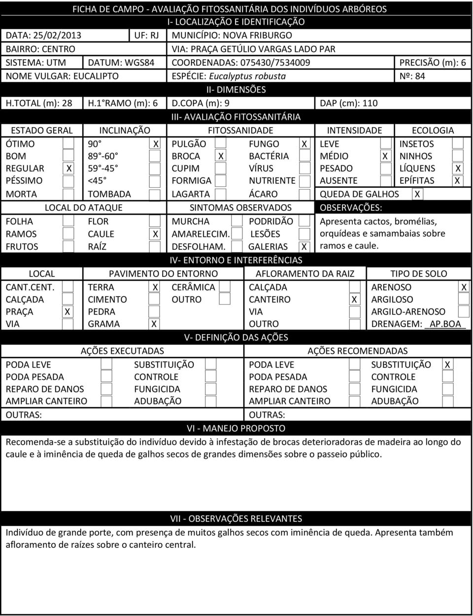 COPA (m): 9 DAP (cm): 110 III- AVALIAÇÃO FITOSSANITÁRIA ESTADO GERAL INCLINAÇÃO FITOSSANIDADE INTENSIDADE ECOLOGIA ÓTIMO 90 X PULGÃO FUNGO X LEVE INSETOS BOM 89-60 BROCA X BACTÉRIA MÉDIO X NINHOS