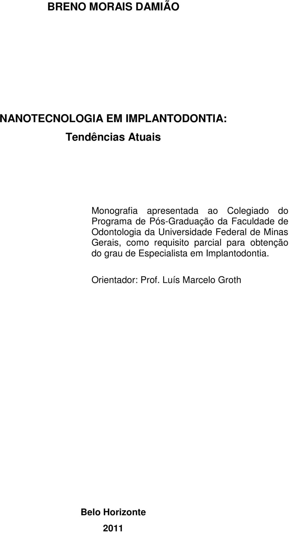 Universidade Federal de Minas Gerais, como requisito parcial para obtenção do grau de