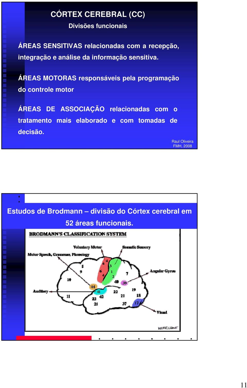 ÁREAS MOTORAS responsáveis pela programação do controle motor ÁREAS DE ASSOCIAÇÃO