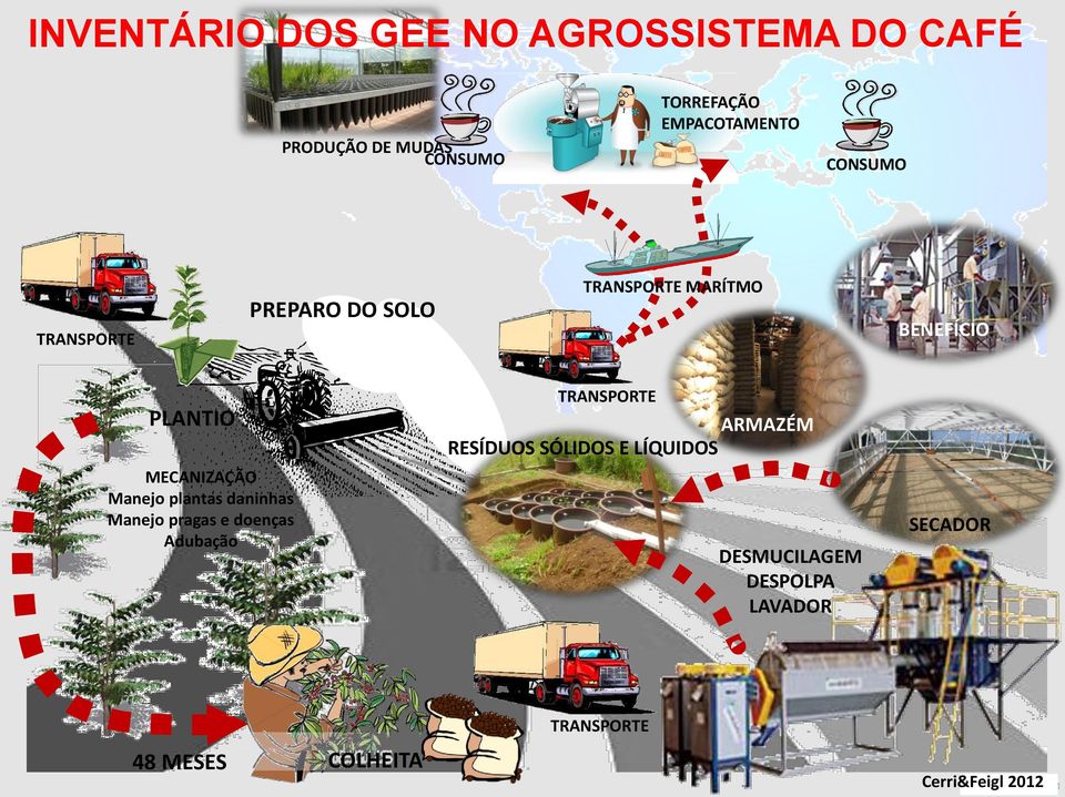 MECANIZAÇÃO Manejo plantas daninhas Manejo pragas e doenças Adubação TRANSPORTE ARMAZÉM