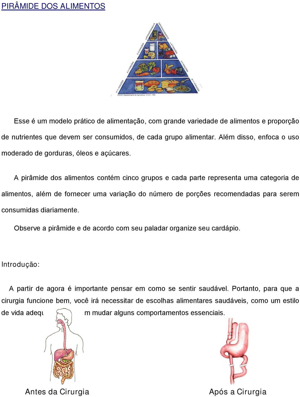 A pirâmide dos alimentos contém cinco grupos e cada parte representa uma categoria de alimentos, além de fornecer uma variação do número de porções recomendadas para serem consumidas diariamente.