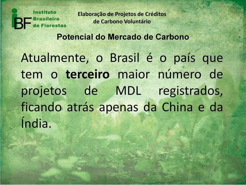 projetos de MDL registrados, ficando atrás apenas