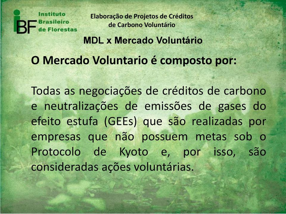 emissões de gases do efeito estufa (GEEs) que são realizadas por empresas que não