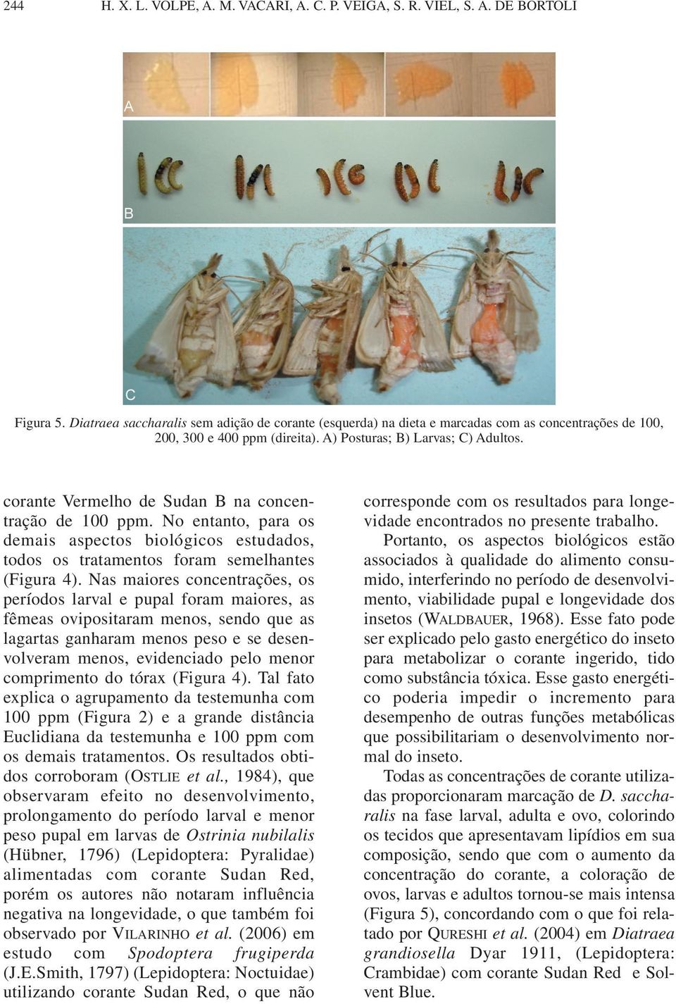 Nas maiores concentrações, os períodos larval e pupal foram maiores, as fêmeas ovipositaram menos, sendo que as lagartas ganharam menos peso e se desenvolveram menos, evidenciado pelo menor