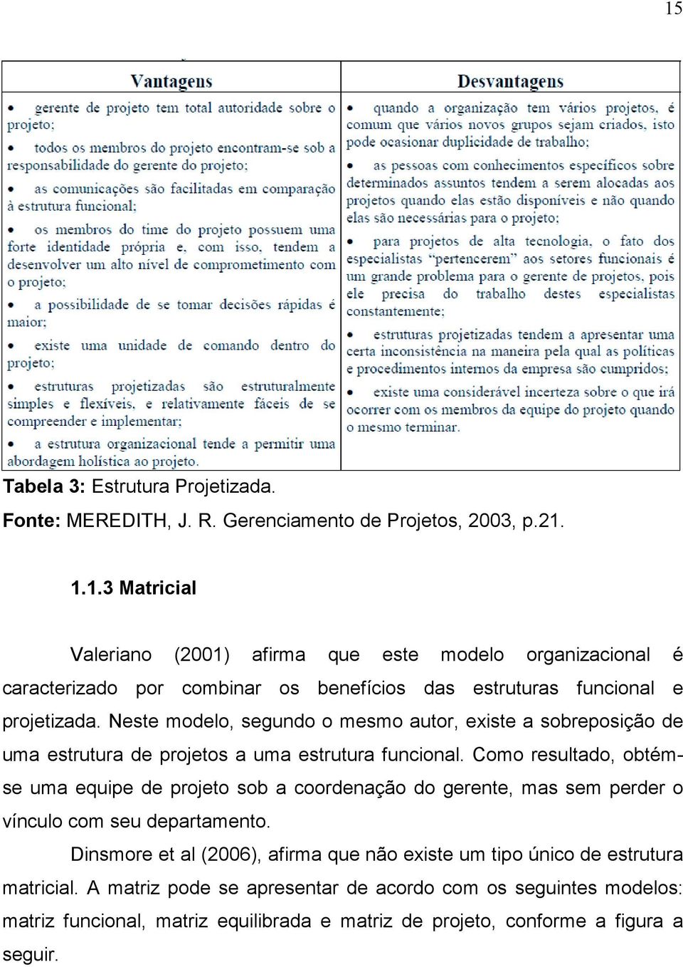 Como resultado, obtémse uma equipe de projeto sob a coordenação do gerente, mas sem perder o vínculo com seu departamento.