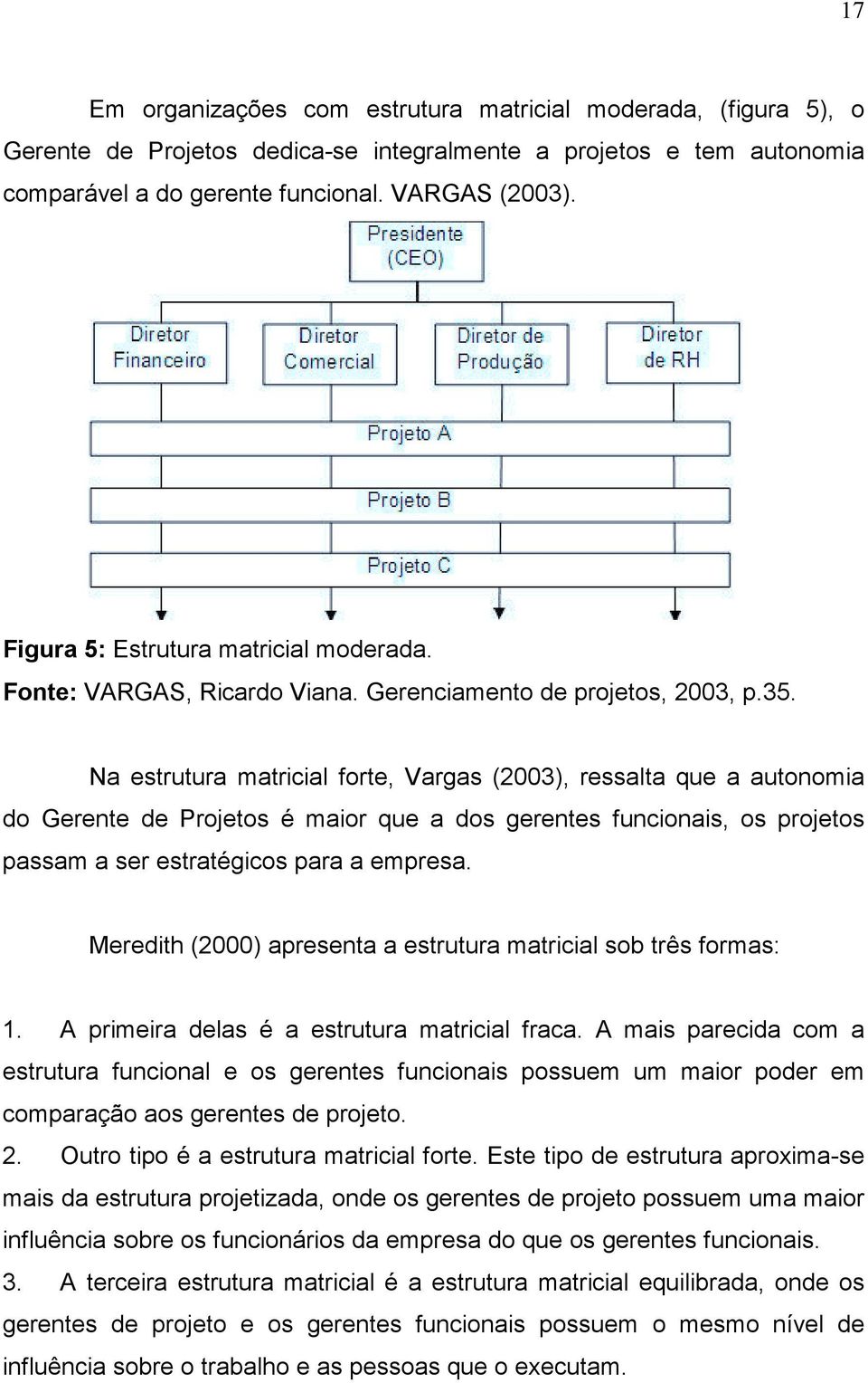 Na estrutura matricial forte, Vargas (2003), ressalta que a autonomia do Gerente de Projetos é maior que a dos gerentes funcionais, os projetos passam a ser estratégicos para a empresa.