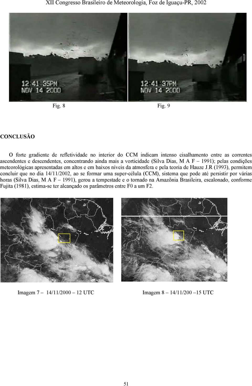 vorticidade (Silva Dias, M A F 1991); pelas condições meteorológicas apresentadas em altos e em baixos níveis da atmosfera e pela teoria de Hauze J.