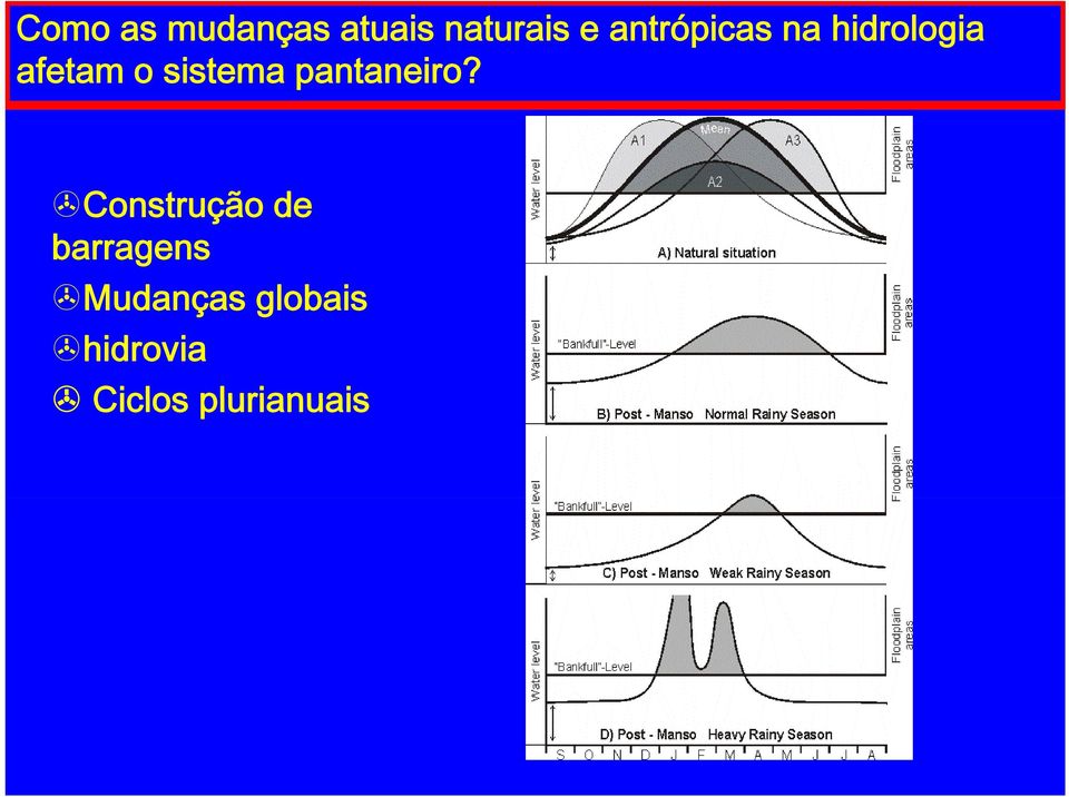 sistema pantaneiro?