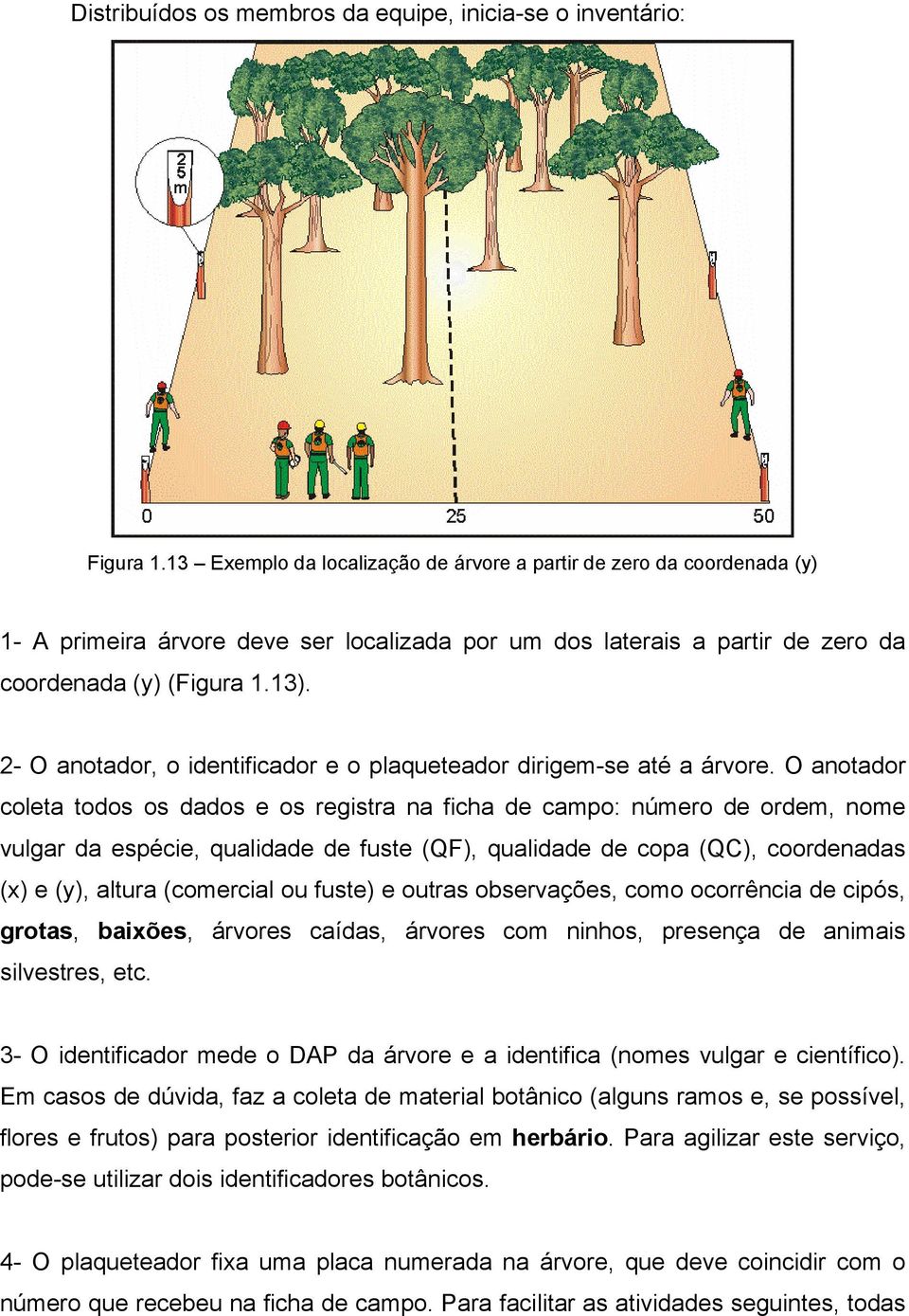 2- O anotador, o identificador e o plaqueteador dirigem-se até a árvore.