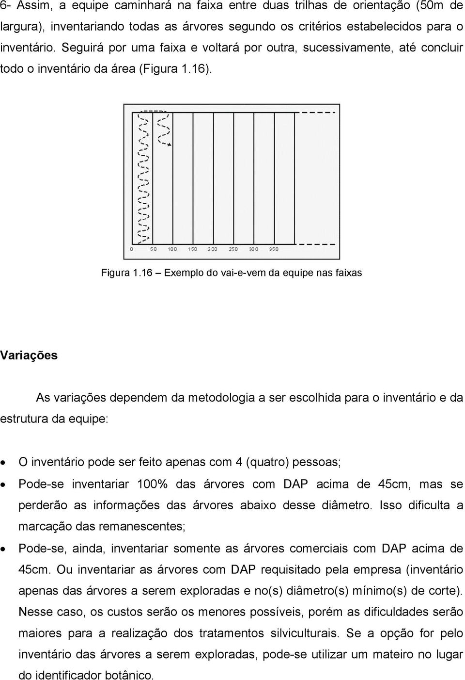 16 Exemplo do vai-e-vem da equipe nas faixas Variações As variações dependem da metodologia a ser escolhida para o inventário e da estrutura da equipe: O inventário pode ser feito apenas com 4