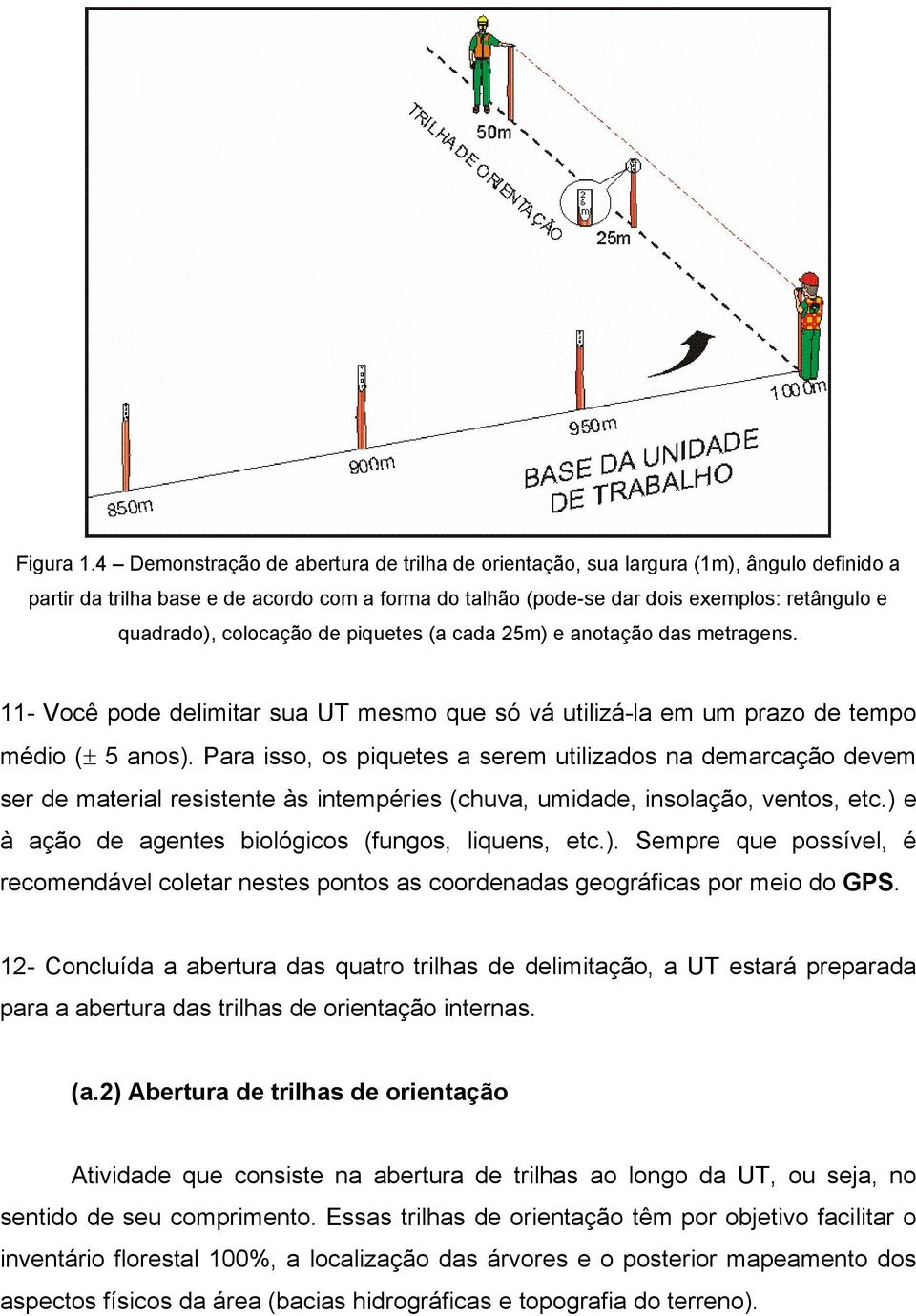 colocação de piquetes (a cada 25m) e anotação das metragens. 11- Você pode delimitar sua UT mesmo que só vá utilizá-la em um prazo de tempo médio (± 5 anos).