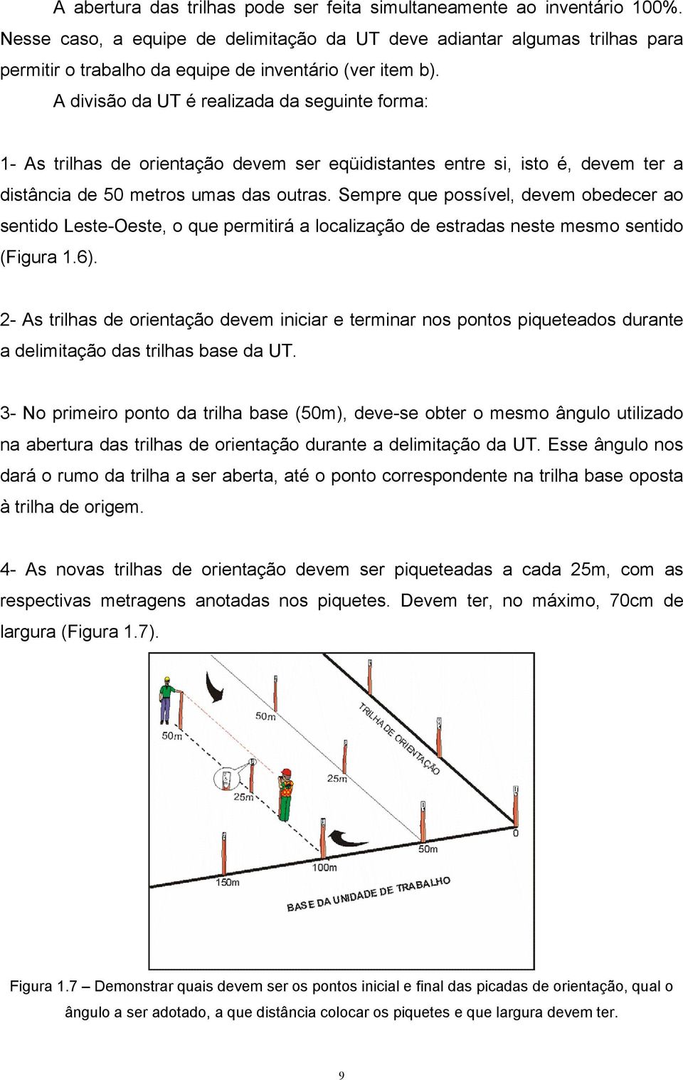 A divisão da UT é realizada da seguinte forma: 1- As trilhas de orientação devem ser eqüidistantes entre si, isto é, devem ter a distância de 50 metros umas das outras.