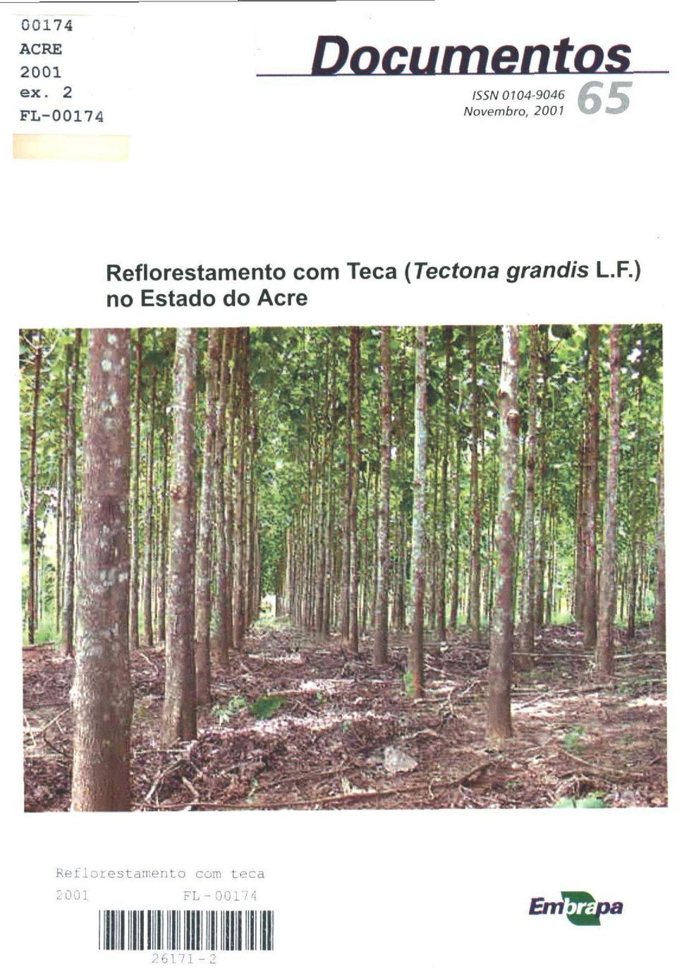 Reflorestamento com Teca (Tectona grandis L.F.