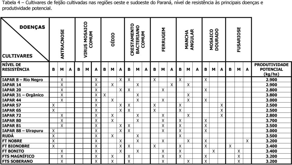 M A PRODUTIVIDADE POTENCIAL (kg/ha) IAPAR 8 Rio Negro X X X X X X X 2.900 IAPAR 14 X X X X X X 2.900 IAPAR 20 X X X X X X 2.800 IAPAR 31 Orgânico X X X X X 3.800 IAPAR 44 X X X X X X X 3.