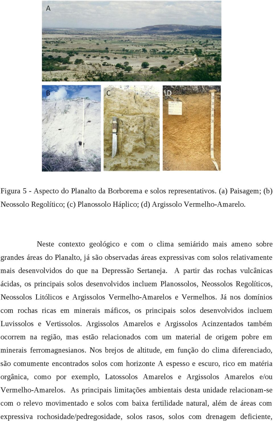 Sertaneja. A partir das rochas vulcânicas ácidas, os principais solos desenvolvidos incluem Planossolos, Neossolos Regolíticos, Neossolos Litólicos e Argissolos Vermelho-Amarelos e Vermelhos.