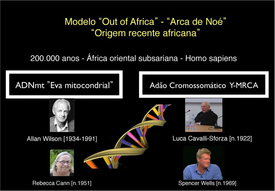 mitocondrial Adão Cromossomático Y-MRCA Allan Wilson [1934-1991]