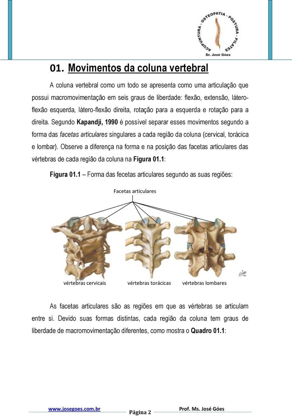 Segundo Kapandji, 1990 é possível separar esses movimentos segundo a forma das facetas articulares singulares a cada região da coluna (cervical, torácica e lombar).