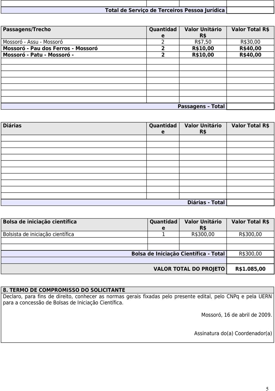 Total Bolsista d iniciação cintífica 1 300,00 300,00 Bolsa d Iniciação Cintífica - Total VALOR TOTAL DO PROJETO 300,00 1.085,00 8.