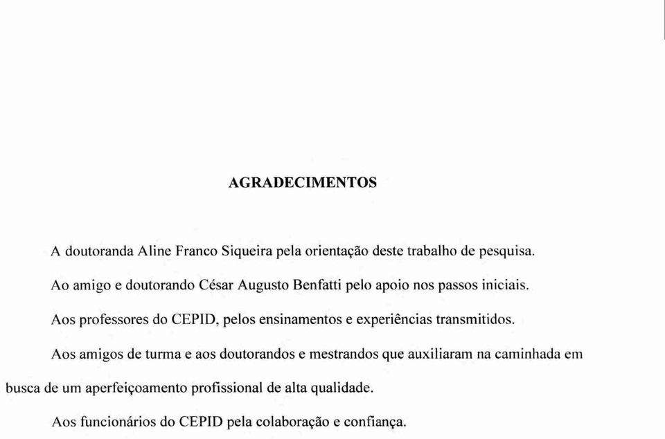 Aos professores do CEPID, pelos ensinamentos e experiências transmitidos.