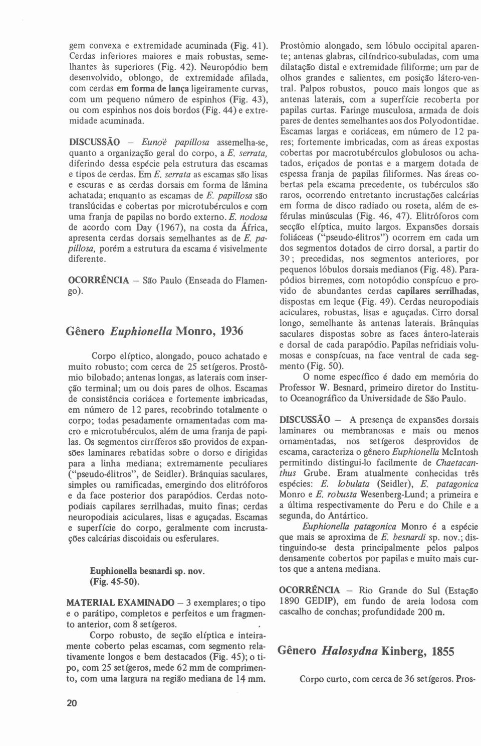 44) e extremidade acuminada. DISCUSSAO - Eunoe papillosa assemeiha-se, quanto a organização geral do corpo, a E. serrata, diferindo dessa espécie pela estrutura das escamas e tipos de cerdas. Em E.