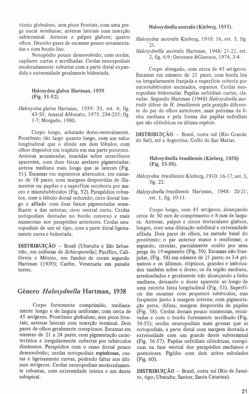 Cerdas neuropodiais moderadamente robustas com a parte distal expandida e extremidade geralmente bidentada. Halosydna glabra Hartman, 1939 (Fig. 51-52). Halosydnaglabra Hartrnan, 1939: 35, est.