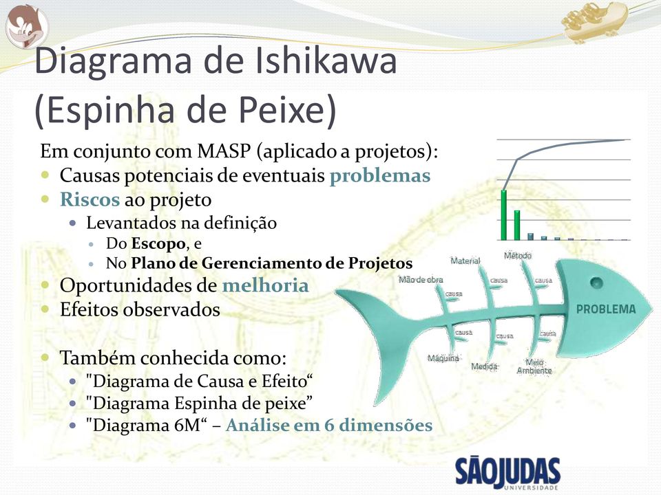 Plano de Gerenciamento de Projetos Oportunidades de melhoria Efeitos observados Também