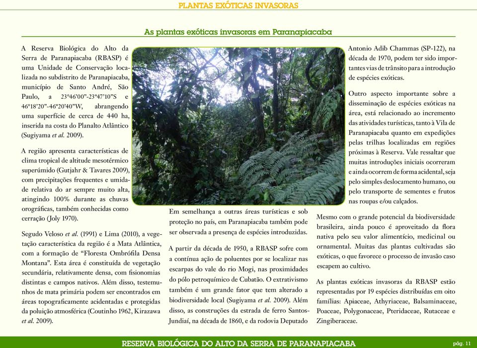 A região apresenta características de clima tropical de altitude mesotérmico superúmido (Gutjahr & Tavares 2009), com precipitações frequentes e umidade relativa do ar sempre muito alta, atingindo