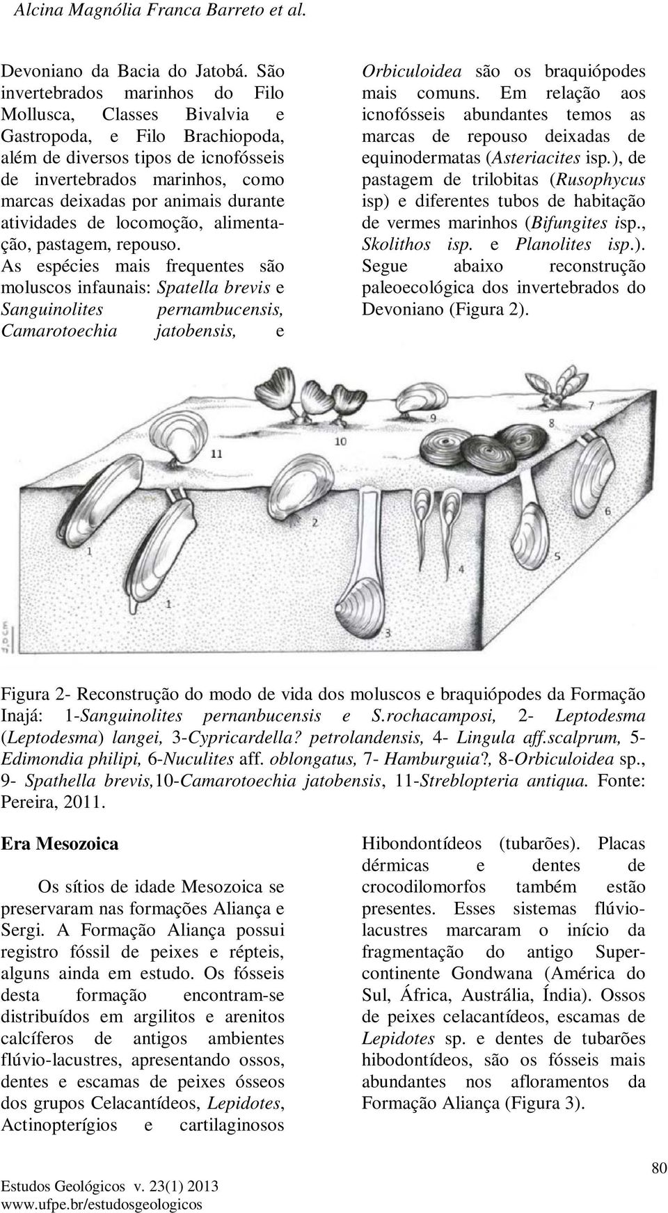 durante atividades de locomoção, alimentação, pastagem, repouso.