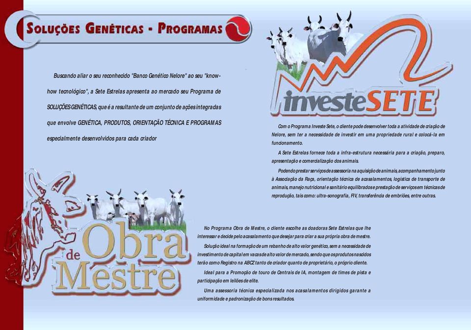 de criação de Nelore, sem ter a necessidade de investir em uma propriedade rural e colocá-la em funcionamento.