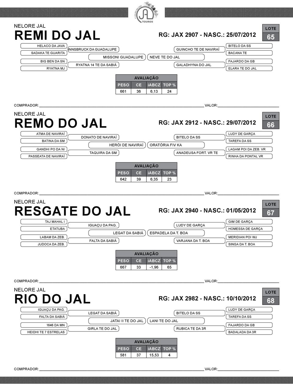 65 661 36 6,13 24 REMO DO JAL rg: JAX 2912 - nasc.