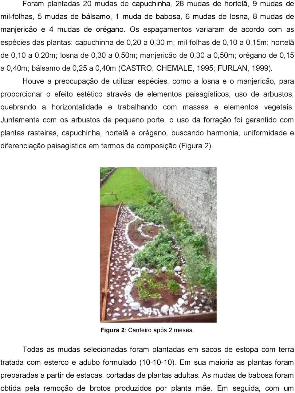 orégano de 0,15 a 0,40m; bálsamo de 0,25 a 0,40m (CASTRO; CHEMALE, 1995; FURLAN, 1999).