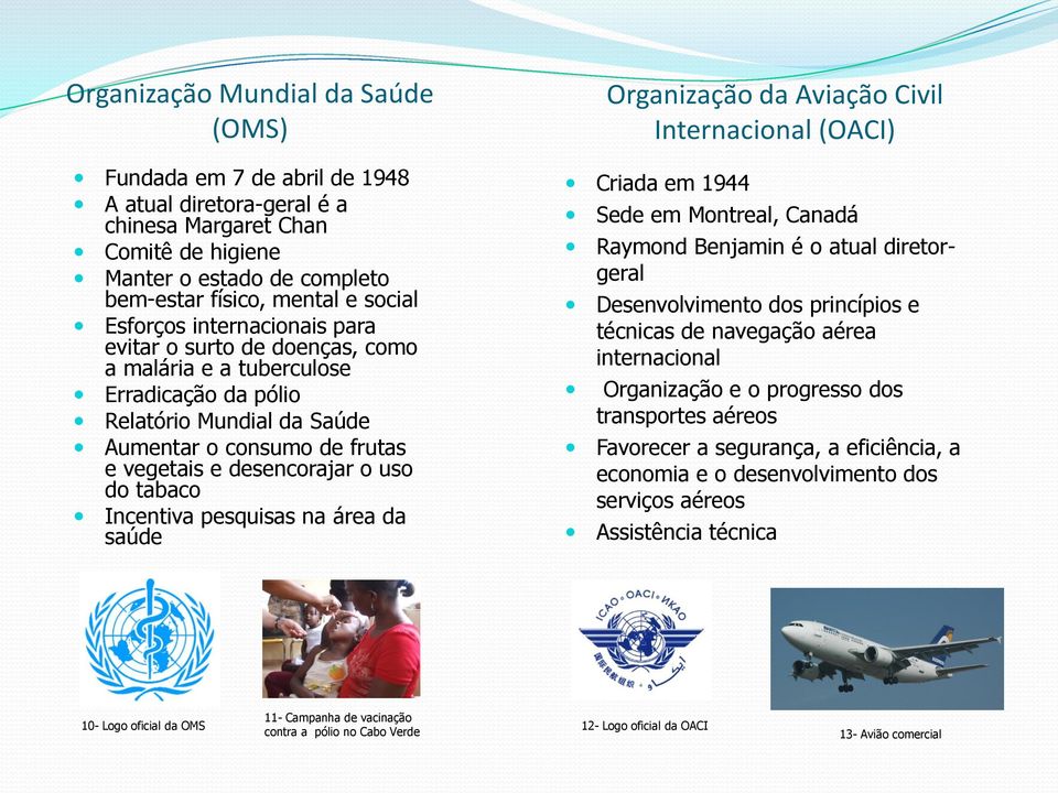 tabaco Incentiva pesquisas na área da saúde Organização da Aviação Civil Internacional (OACI) Criada em 1944 Sede em Montreal, Canadá Raymond Benjamin é o atual diretorgeral Desenvolvimento dos