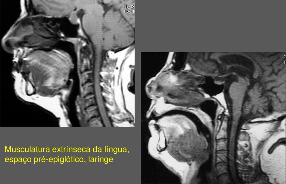 língua, espaço