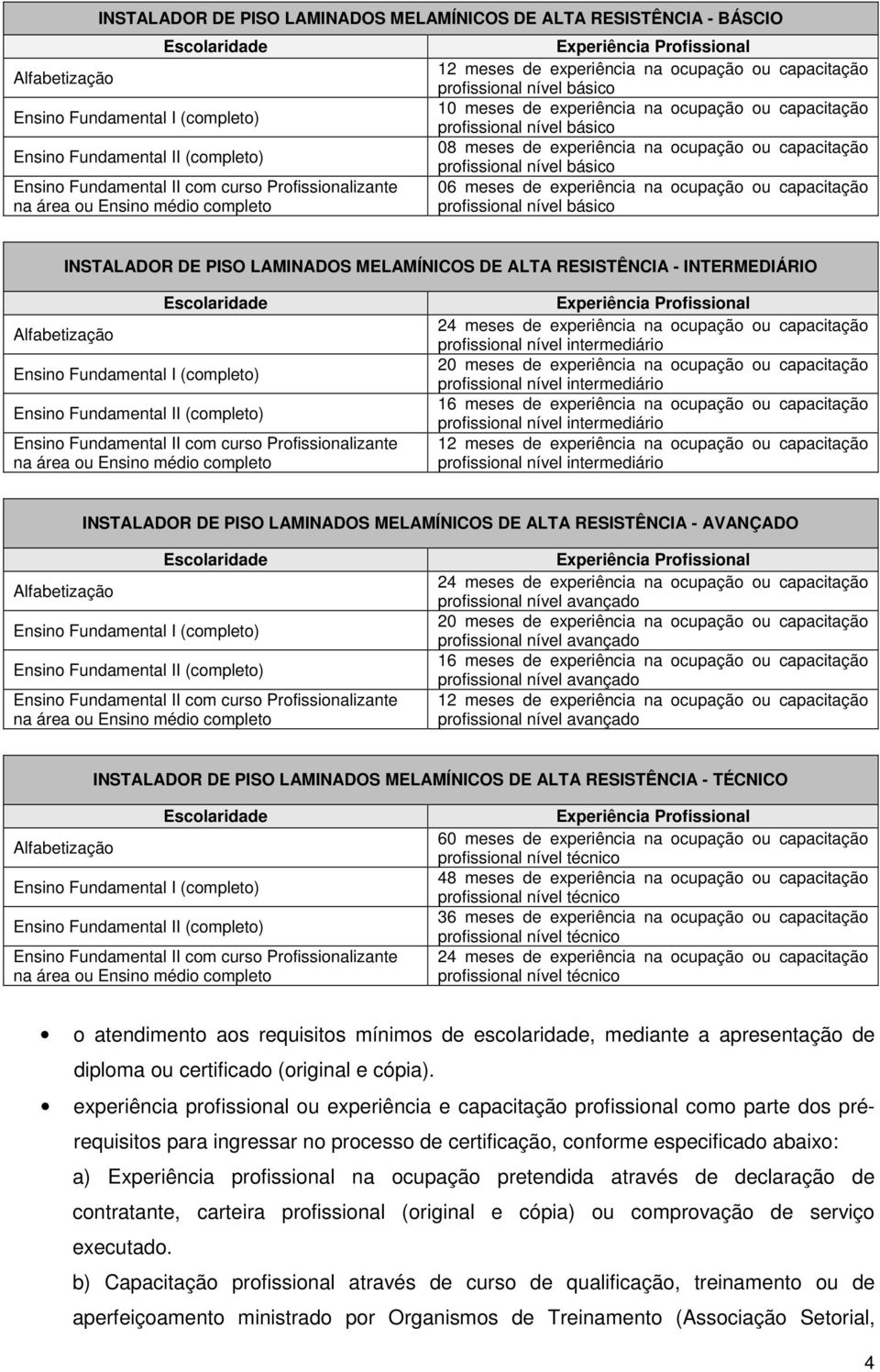 capacitação profissional nível básico 08 meses de experiência na ocupação ou capacitação profissional nível básico 06 meses de experiência na ocupação ou capacitação profissional nível básico