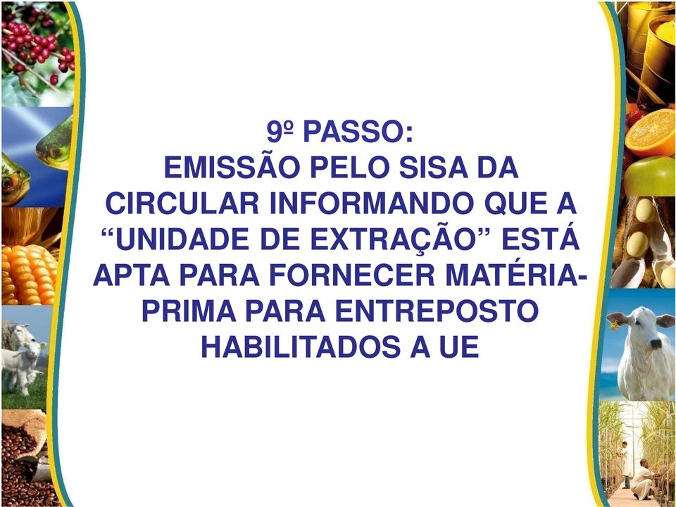 EXTRAÇÃO ESTÁ APTA PARA FORNECER