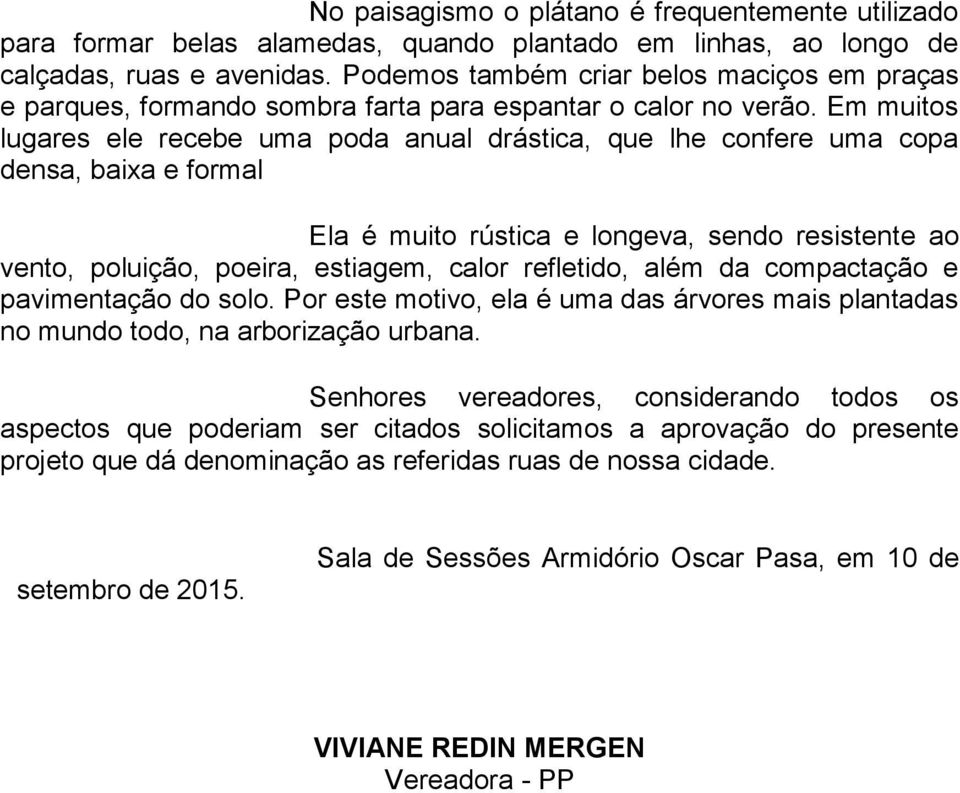 Em muitos lugares ele recebe uma poda anual drástica, que lhe confere uma copa densa, baixa e formal Ela é muito rústica e longeva, sendo resistente ao vento, poluição, poeira, estiagem, calor