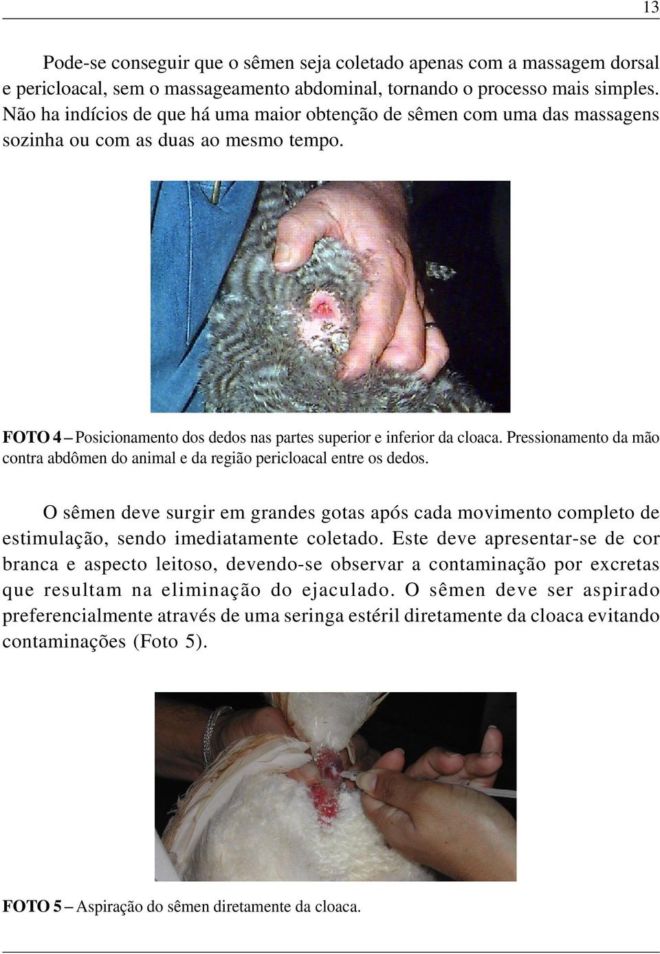 Pressionamento da mão contra abdômen do animal e da região pericloacal entre os dedos. O sêmen deve surgir em grandes gotas após cada movimento completo de estimulação, sendo imediatamente coletado.