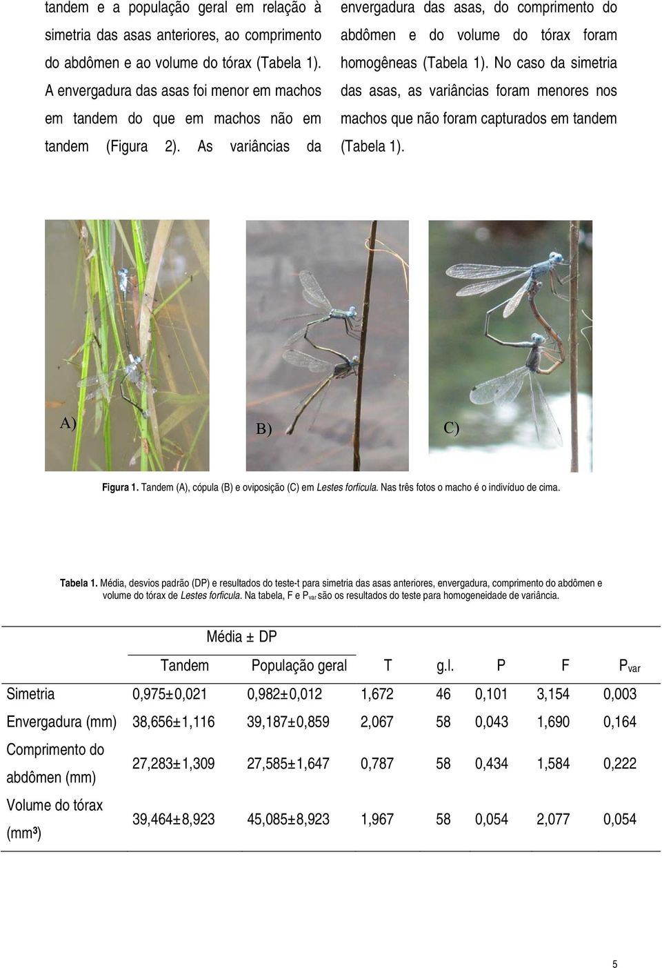 As variâncias da envergadura das asas, do comprimento do abdômen e do volume do tórax foram homogêneas (Tabela 1).