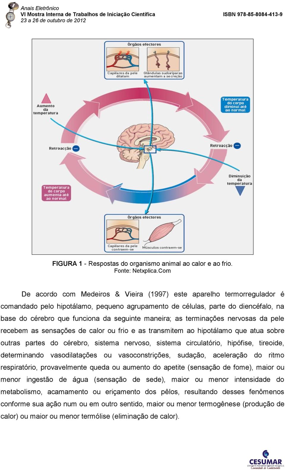 maneira; as terminações nervosas da pele recebem as sensações de calor ou frio e as transmitem ao hipotálamo que atua sobre outras partes do cérebro, sistema nervoso, sistema circulatório, hipófise,