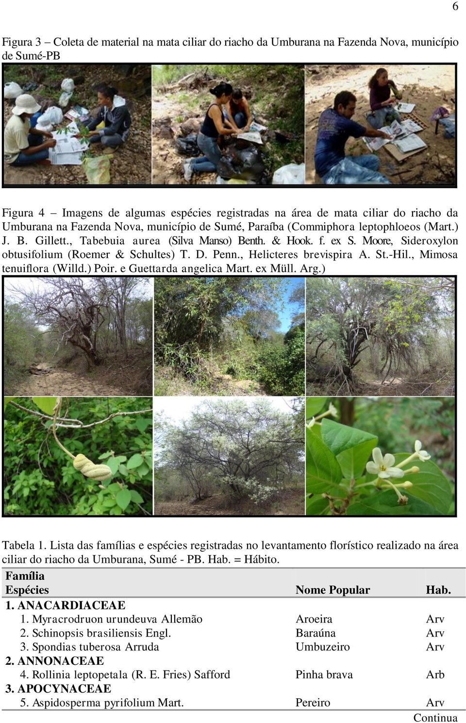 D. Penn., Helicteres brevispira A. St.-Hil., Mimosa tenuiflora (Willd.) Poir. e Guettarda angelica Mart. ex Müll. Arg.) Tabela 1.