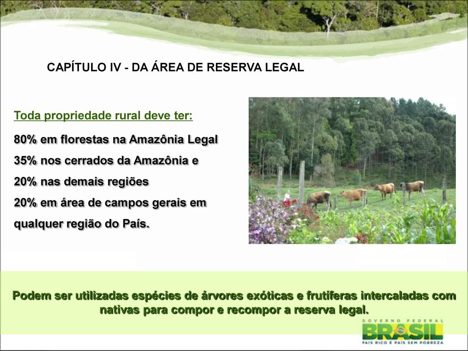 em área de campos gerais em qualquer região do País.